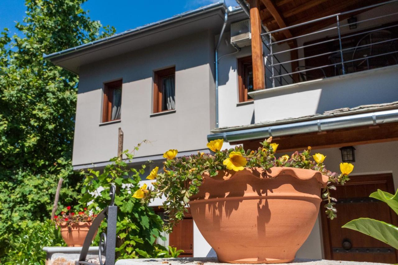 Άλυσσος Suites Tsagarada Exteriér fotografie