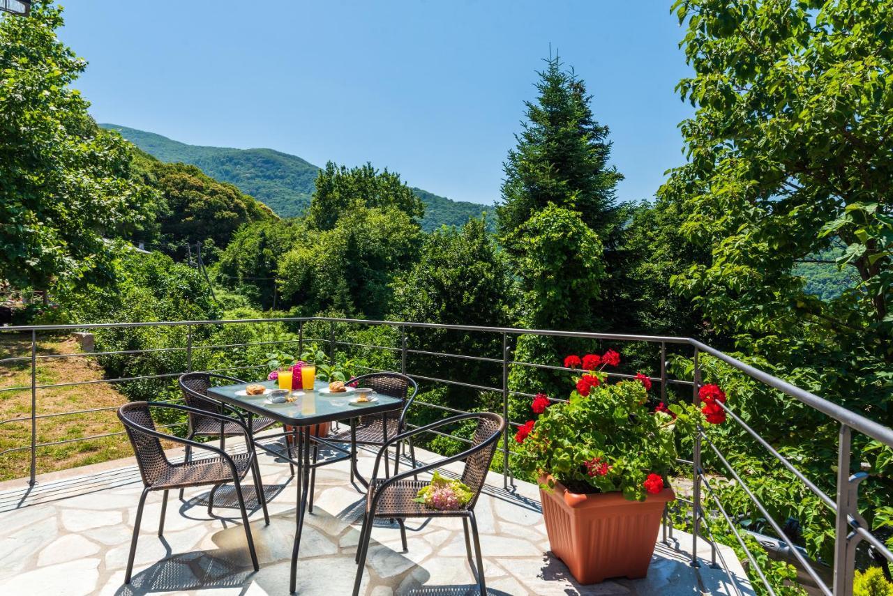 Άλυσσος Suites Tsagarada Exteriér fotografie